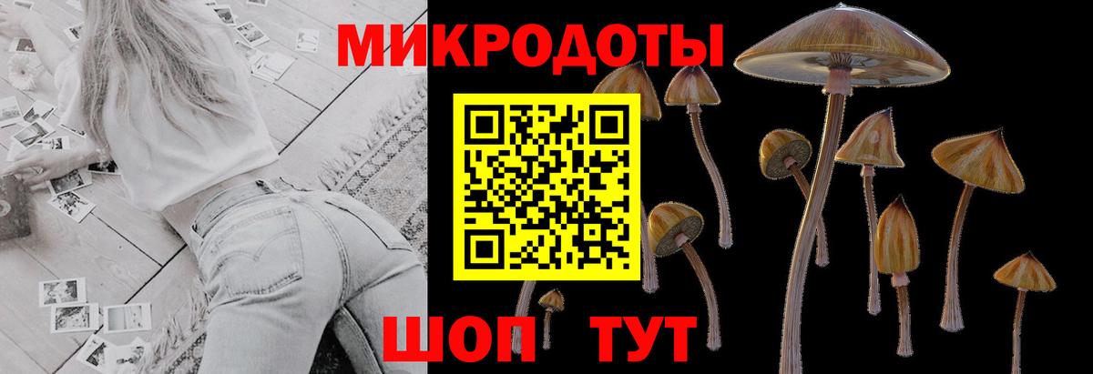 Ишим  Галлюциногенные грибы Magic Shrooms  Вход с VPN 